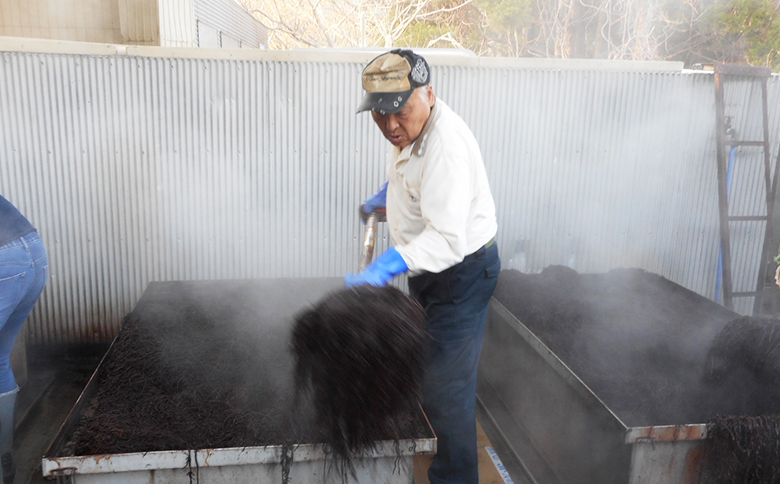 【さいぶのひじき】房州ひじき450ｇ！レシピ集付き♪ [0022-0009]