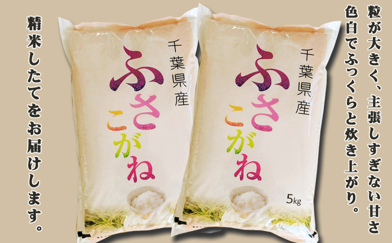 《令和７年産》【米屋新蔵】お米ソムリエ特選 千葉県産『ふさこがね』10kg　[0026-0008] 10kg