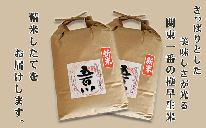 《令和７年産》【米屋新蔵】関東一の極早生米『五百川』10kg　[0032-0004] 10kg
