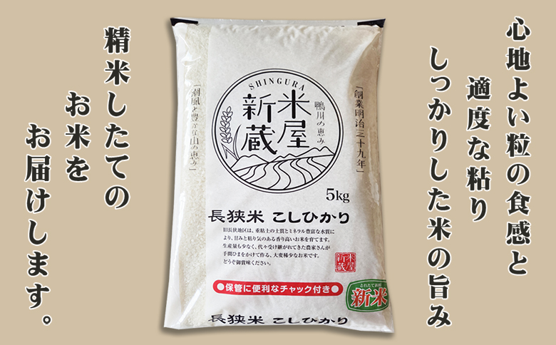 《令和７年産 新米》【米屋新蔵】お米ソムリエ特選『長狭米コシヒカリ』10kg　[0032-0006] 10kg