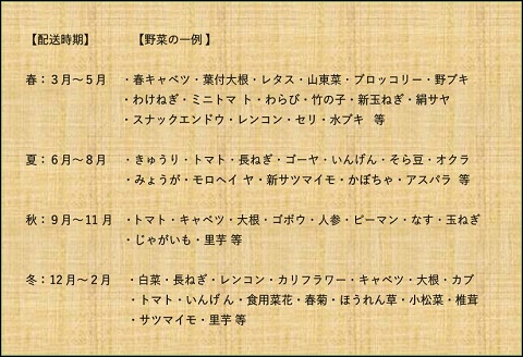 【年４回定期便】鴨川の朝採れ野菜･｢旬｣を味わうセット [0056-0001] 年４回定期便