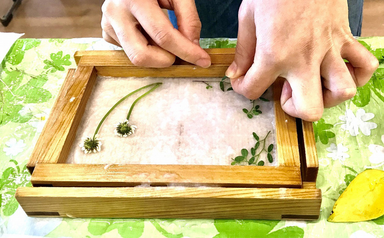 【先着50組限定】令和８年度 大山千枚田『酒づくりオーナー制度』参加権利　[0057-0003] 酒づくりオーナー