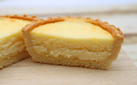 【中島屋菓子店】チーズタルト「ひとさらのちーず」9個 [0010-0315]