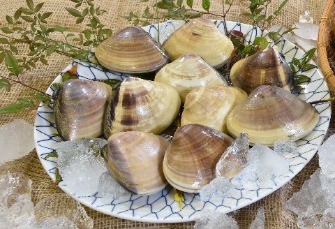 【日時指定必須】いずみや鮮魚店の活きサザエ・蛤(はまぐり) 貝づくしセット [0030-0052]