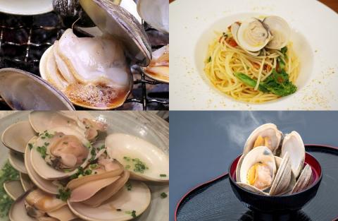 【日時指定必須】いずみや鮮魚店の活きハマグリ 1.5kg[0020-0074]