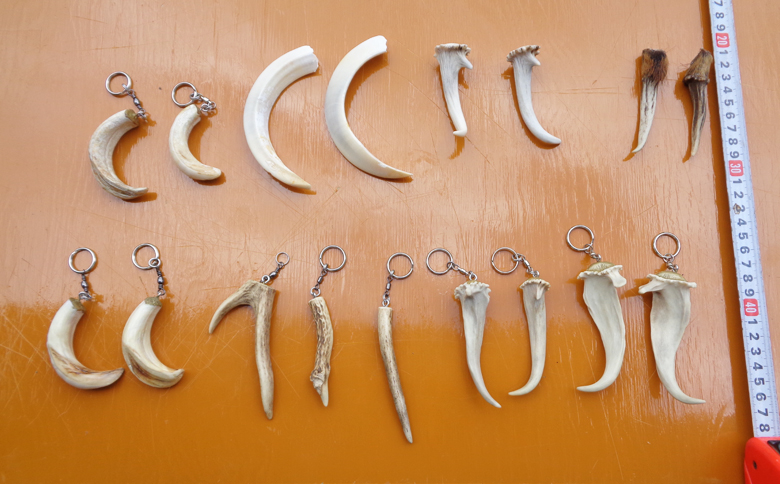 【房総ジビエクラフト】天然素材『ジビエ キーホルダー』　キョンの角　[0006-0044] キョンの角