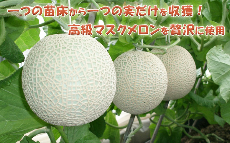 【高橋メロン農園】フルーツ大福～千葉アクアメロン～ 12個 [0010-0243]