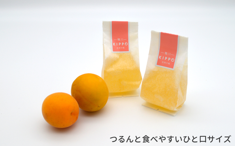 【鴨川吉保梅の里の南高梅】吉保の梅ゼリー 12個入り×３箱 [0010-0297] 12個入×３箱