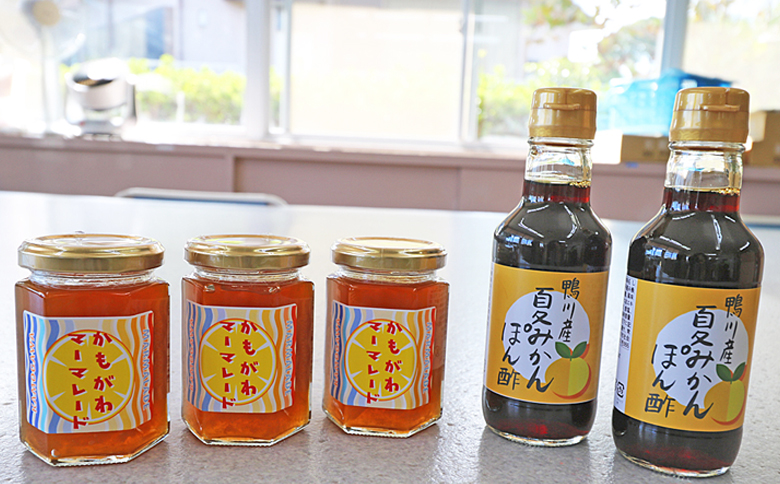 【福祉施設応援】夏みかんのポン酢とマーマレードセット [0010-0307] マーマレード３個＆ポン酢２本