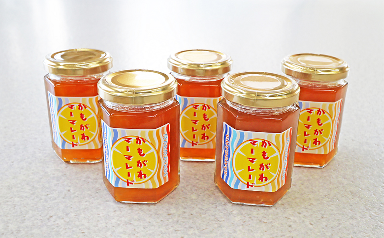 【福祉施設応援】夏みかんマーマレード５個セット [0010-0308] マーマレード５個