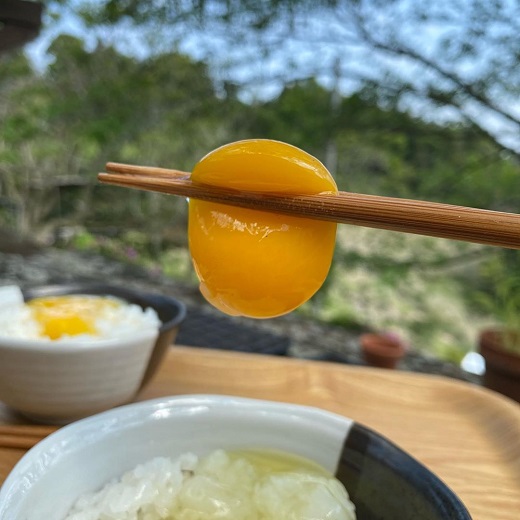 すぎう卵の野良飼い有精卵18個 [0011-0049]