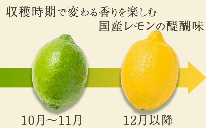 《１月発送》 【皮まで食べられる】海と太陽のレモン【秀品】３kg（約25個） [0011-0057] 秀品３kg《１月発送》