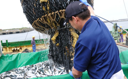 【お弁当に便利！】『雪月花』サクサクアジフライ！！3kg（60g×50枚）[0012-0074] 60g×50枚