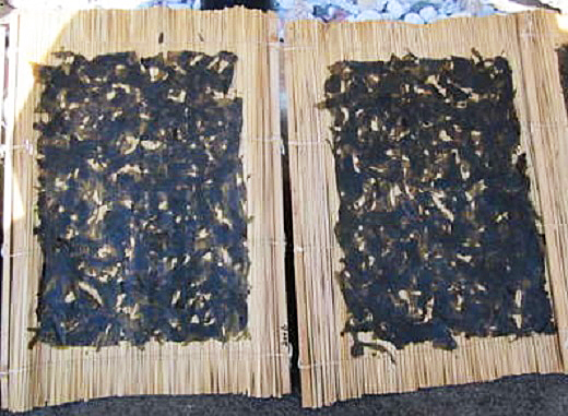 【久根崎善次郎商店】《訳あり》割れはばのり20g [0012-0076]