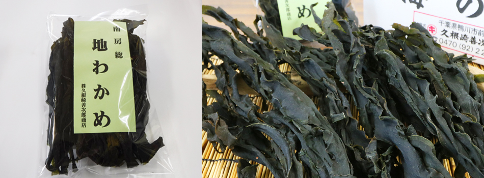【久根崎善次郎商店】鴨川産海藻3種5点セット[0013-0042]