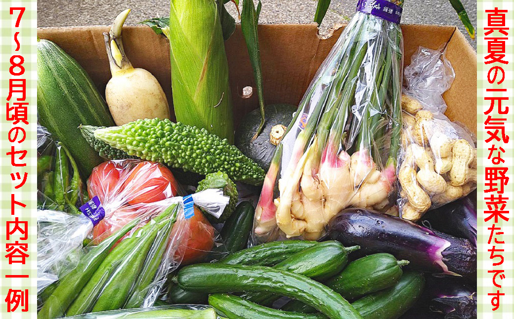 【1日限定5セット】南房総-鴨川の朝採れ野菜セット [0014-0027] １回発送