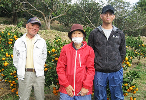 【鴨川直送ふるさと便】季節の野菜＆果物詰合せ [0015-0043]