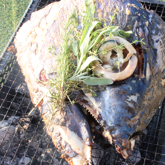 メバチマグロ兜 頭半割1個分（1kg） 1/4カット×2個 [0015-0069] 1/4カット１個