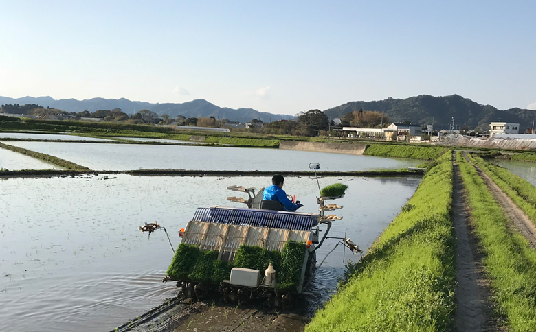 【満田園芸】嶺岡米 コシヒカリ 精米 5kg ちばエコ農産物認証品 [0015-0072]