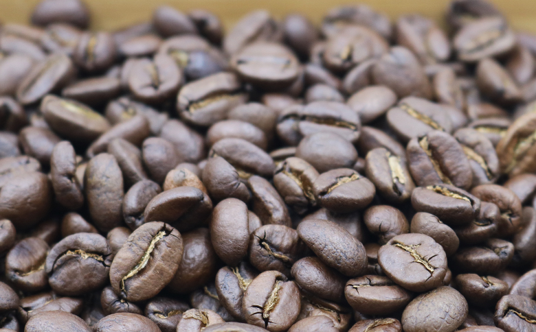 【カモガワ珈琲】焙煎したてのコーヒー豆 ３種（170g×３袋）《豆》　[0016-0022] ３種（豆）