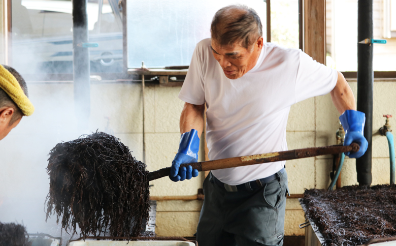 【宮崎商店】天然100％『マルキの房州ひじき』中ひじき 180g×２袋　[0016-0024] 中ひじき ２袋