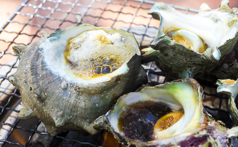 【漁協直送！】房州黒潮育ち『天然 活サザエ』1.5kg以上（8～12個）　《期間限定》《数量限定》《配送日指定OK》《配送指定 令和8年5月末日まで》さざえ 栄螺 刺身 活魚 [ウオポート][0017-0028] [0017-0028]