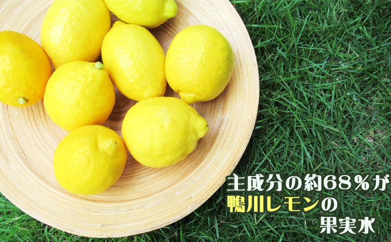 【鴨川のご当地コスメ】LimOce-リモーチェ-『洗顔フォーム』200ml × ３本　[0026-0003] 3本