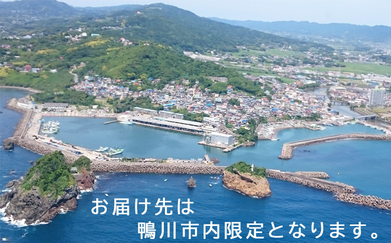 【鴨川市内限定】見守り訪問サービス『Yakult（ヤクルト）1000』７本×15週間　[0050-0085] ７本15週間