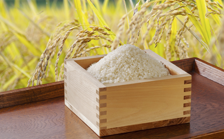 【先着20組限定】令和８年度 大山千枚田『棚田トラスト制度』参加権利　[0107-0001] 棚田トラスト