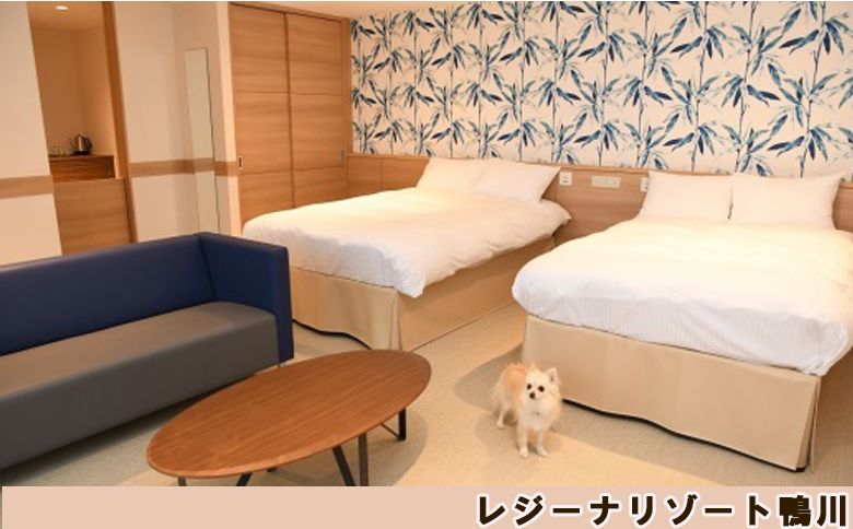 【亀田クリニック Dock&Dog】アドバンストプラン　１名様（平日限定１泊２食付） 　[0647-0001] Dock ＆ Dog