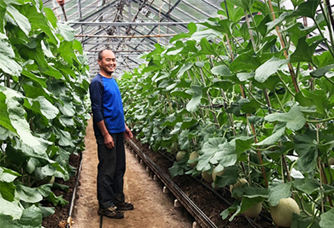 【令和8年5月発送／先行予約】鴨川ぷれみあむ『千葉アクアメロン』旬の大玉 １個 × ３カ月　[0030-0095] 旬の大玉 １個×３回