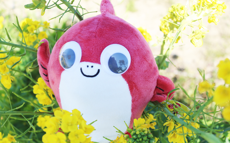 【鴨川市のゆるキャラ】たいよう君セット [0010-0169]