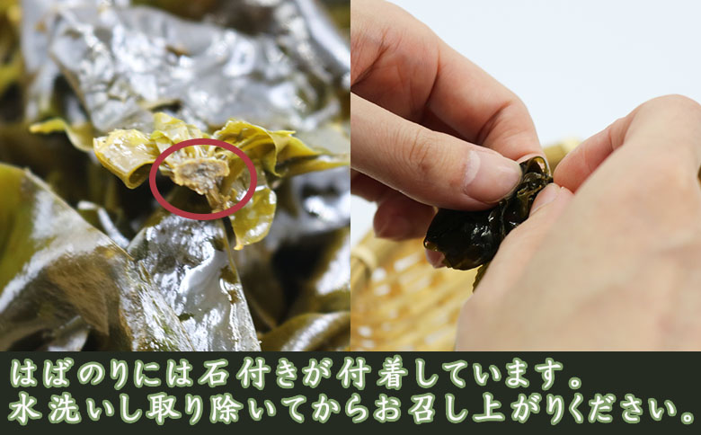 【極味のひもの特製】房州小湊産 天然『生冷 はばのり』200g《数量限定》　[0010-0284] 生冷はばのり