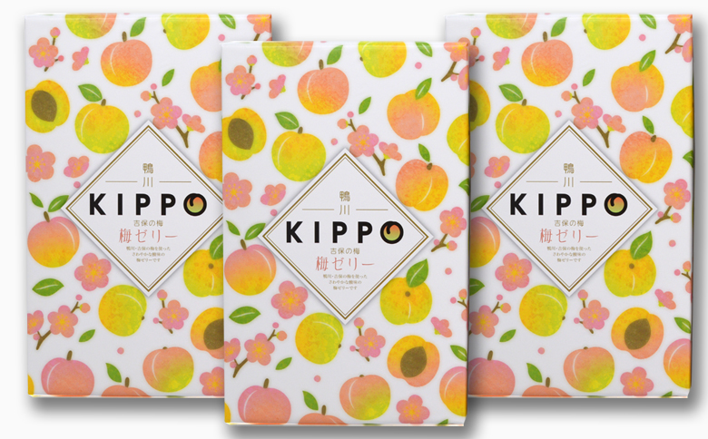 【鴨川吉保梅の里の南高梅】吉保の梅ゼリー 12個入り×３箱 [0010-0297] 12個入×３箱