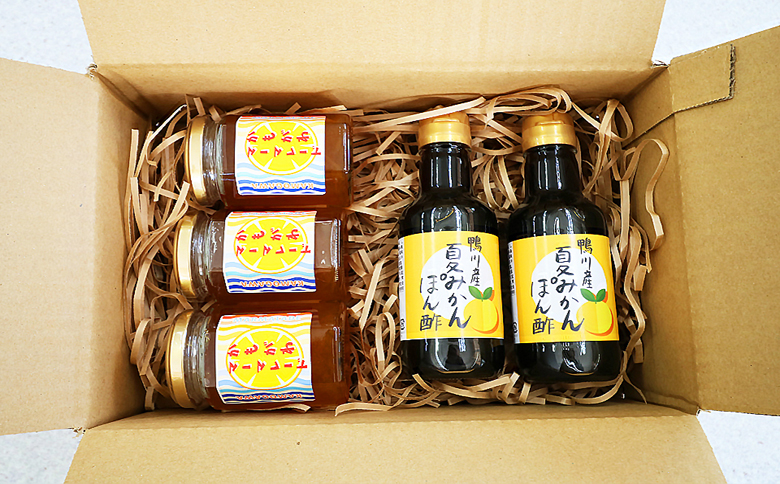 【福祉施設応援】夏みかんのポン酢とマーマレードセット [0010-0307] マーマレード３個＆ポン酢２本