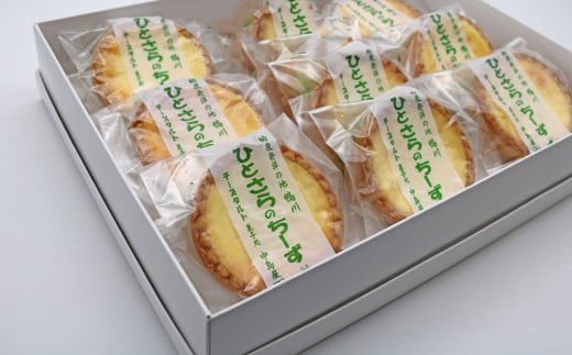 【中島屋菓子店】チーズタルト「ひとさらのちーず」9個 [0010-0315]