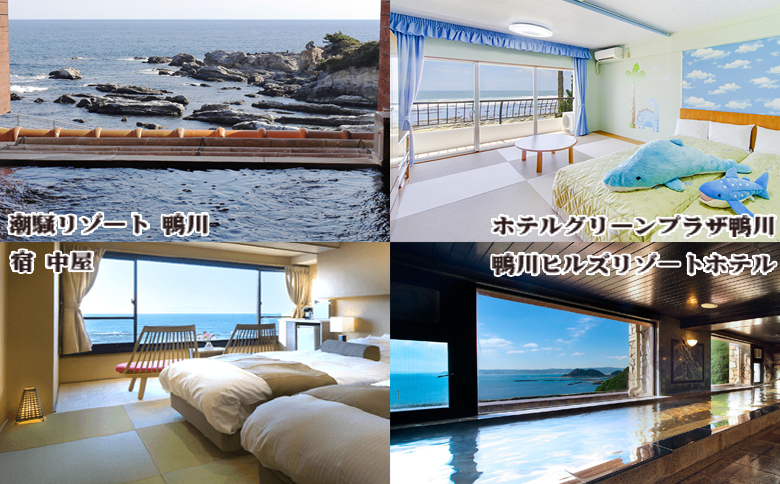 【千葉県鴨川市】市内宿泊施設『共通宿泊券』３千円相当　[0010-0352] ３千円相当