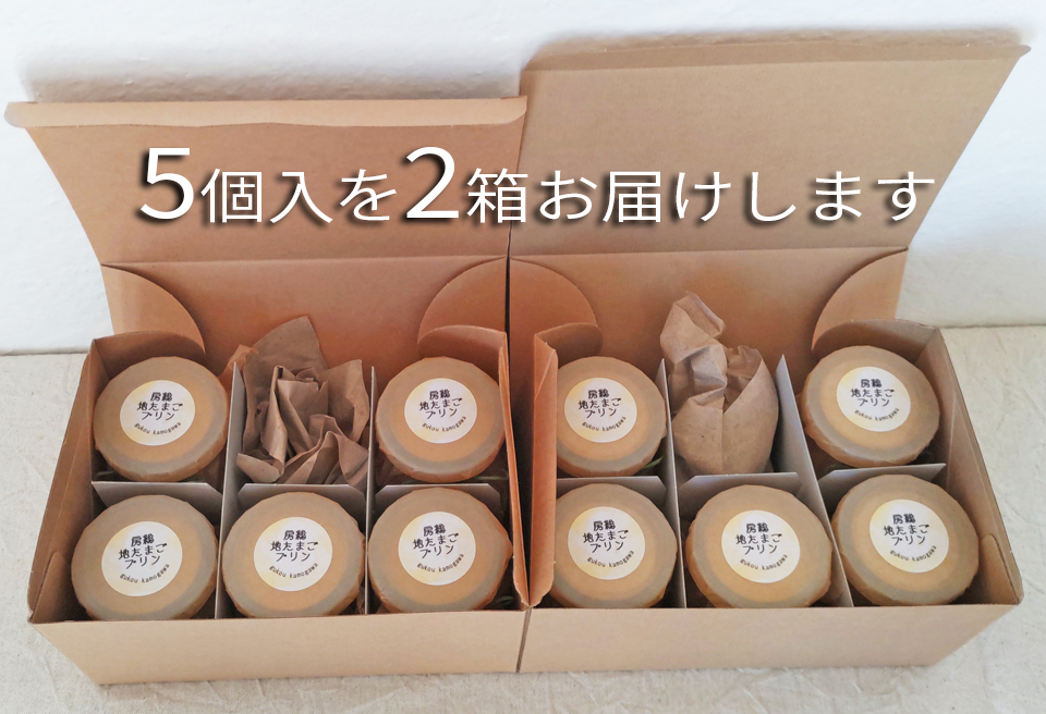 【具琥】房総地たまごプリン10個 [0011-0036] プリン10個