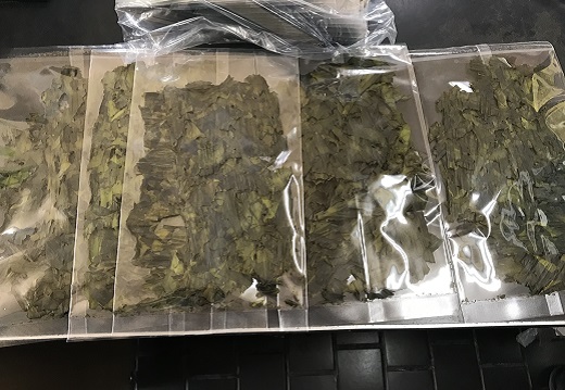 【久根崎善次郎商店】《訳あり》割れはばのり20g [0012-0076]