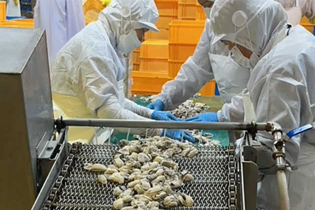 【雪月花】揚げるだけでサクッとプリッと 大粒カキフライ 1.7kg(60粒) [0014-0025]