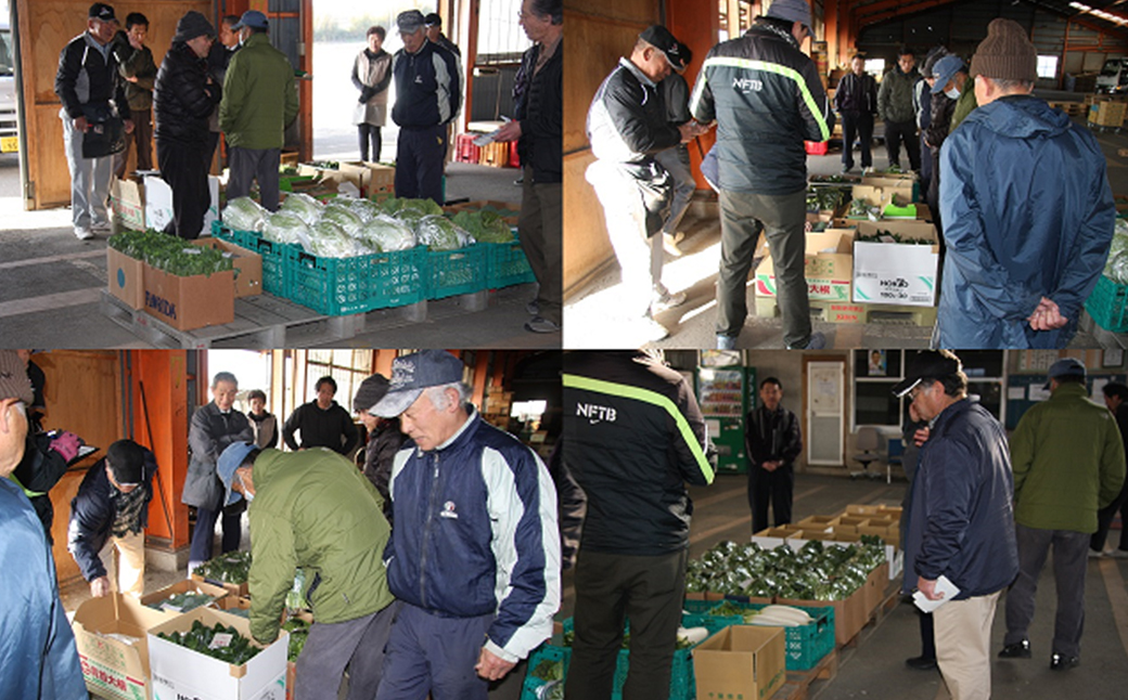 【1日限定5セット】南房総-鴨川の朝採れ野菜セット [0014-0027] １回発送