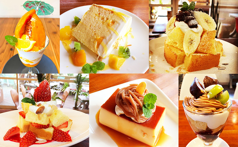 【千葉県鴨川市】伊勢海老料理＆自家製スイーツ『EBIYA.CAFE』お食事券６千円相当　[0020-0092] ６千円相当