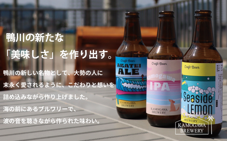 【KAMOGAWA BREWERY】鴨川クラフトビール ３種９本　[0021-0004] ３種９本