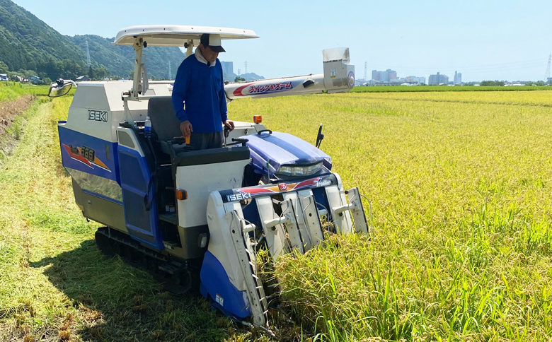 《令和７年産》【米屋新蔵】お米ソムリエ特選 千葉県産『ふさこがね』10kg　[0026-0008] 10kg