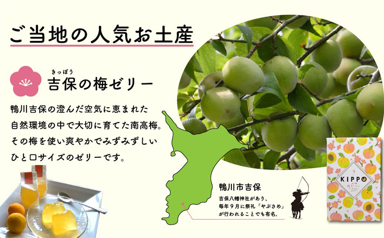 【Kamogawa SEASIDE BASE】浜の食堂 海鮮BBQ利用券 ２人前《飲み放題・お土産付き》　[0040-0018] 海鮮BBQ＋飲み放題 ２人前