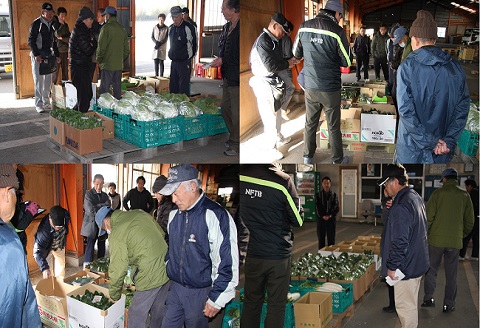 【年４回定期便】鴨川の朝採れ野菜･｢旬｣を味わうセット [0056-0001] 年４回定期便