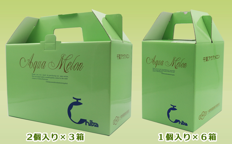 【ご贈答に！】高級マスクメロン『千葉アクアメロン』Ｌ玉以上 × ６個　[0066-0005] Ｌ玉６個（１個入６箱）