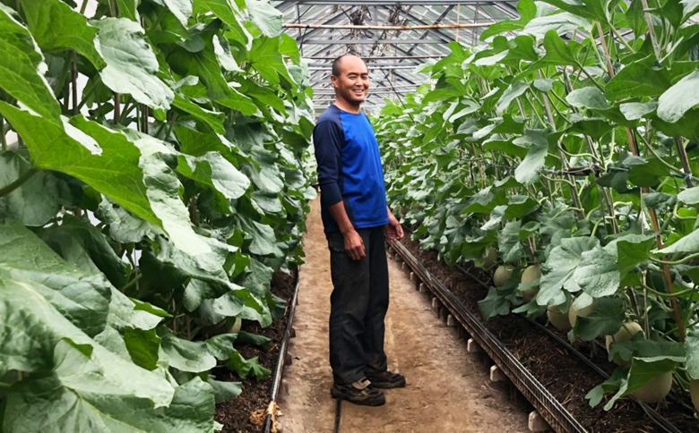 【定期便】高橋メロン農園『千葉アクアメロン』L玉以上 1個 × 12回発送 [0120-0008] Ｌ玉１個×12回