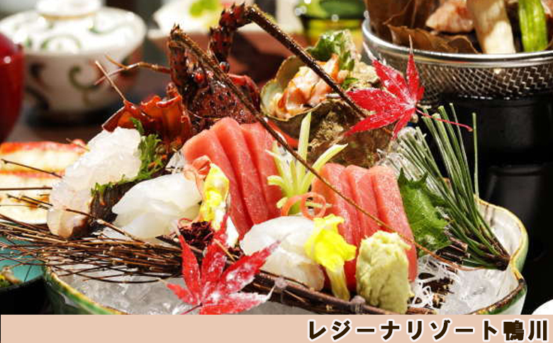 【亀田クリニック Dock&Dog】アドバンストプラン　１名様（平日限定１泊２食付） 　[0647-0001] Dock ＆ Dog