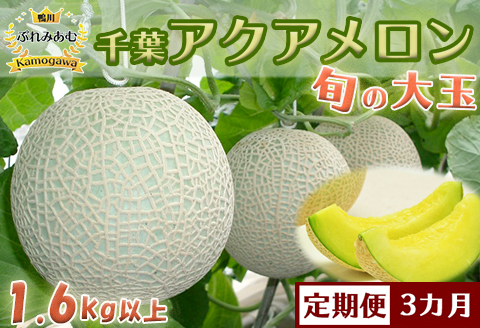 【令和8年5月発送／先行予約】鴨川ぷれみあむ『千葉アクアメロン』旬の大玉 １個 × ３カ月　[0030-0095] 旬の大玉 １個×３回